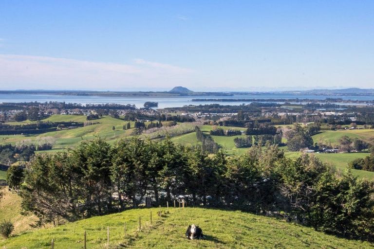 Photo of property in 345a Lindemann Road, Tahawai, Katikati, 3170