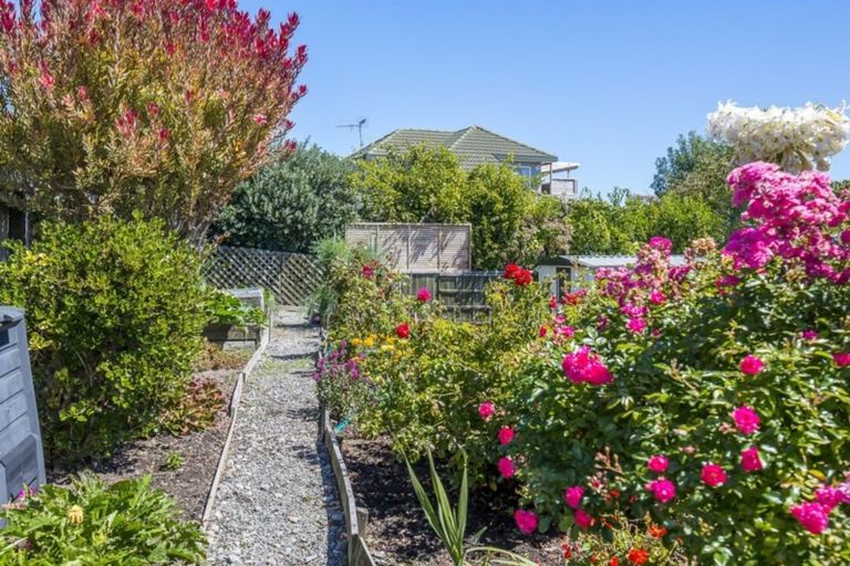 Photo of property in 42 Cedar Drive, Paraparaumu Beach, Paraparaumu, 5032