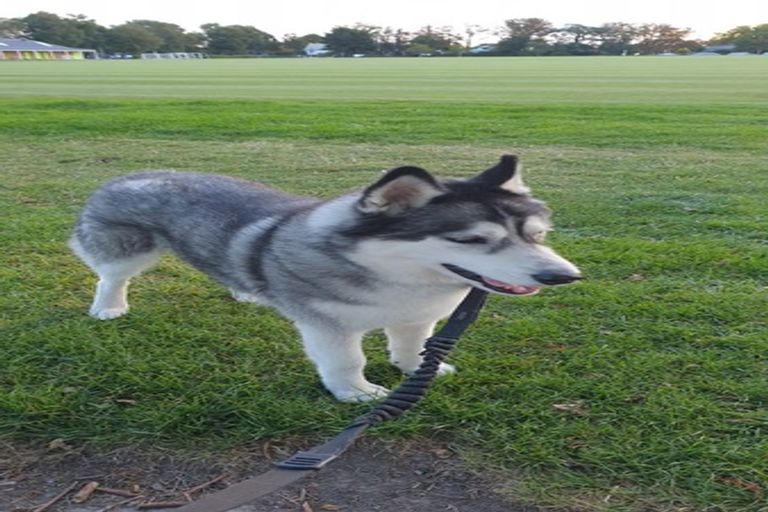 Photo of property in 9/15 Peterborough Street, Christchurch Central, Christchurch, 8013