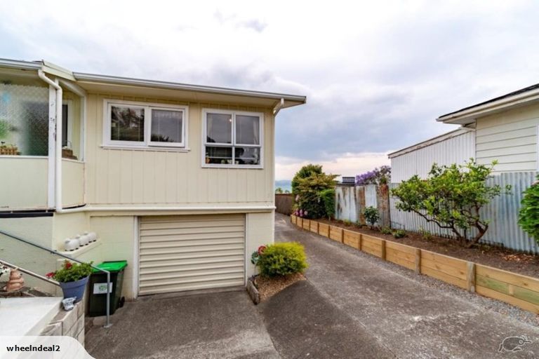 Photo of property in 1/4 George Street, Hospital Hill, Napier, 4110