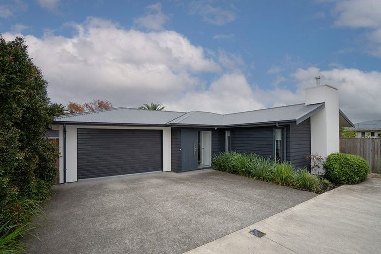 Photo of property in 55a Ferguson Street, Awapuni, Palmerston North, 4412