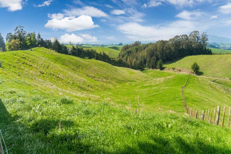 Photo of property in 463 Palmer Mill Road, Wairakei, Taupo, 3384