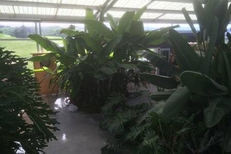 Photo of property in 53 Springfield Road, Oakleigh, Whangarei, 0178