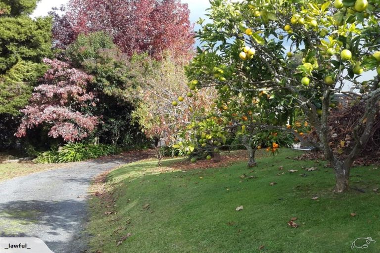 Photo of property in 32 Hill Street, Paeroa, 3600