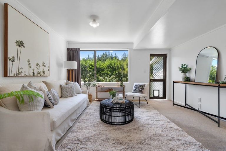 Photo of property in 911 Mclaren Falls Road, Omanawa, Tauranga, 3171