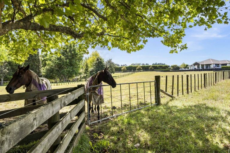 Photo of property in 134 Logan Road, Buckland, Pukekohe, 2677