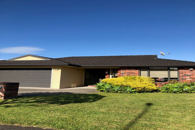 Photo of property in 10 Brookwood Drive, Henderson, Auckland, 0612