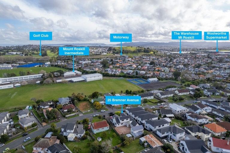 Photo of property in 25 Bremner Avenue, Mount Roskill, Auckland, 1041