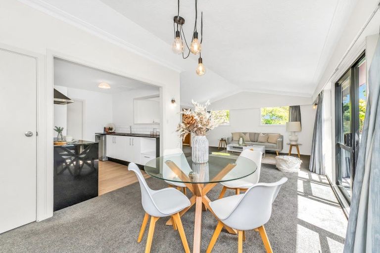 Photo of property in 113a Fisher Avenue, Beckenham, Christchurch, 8023