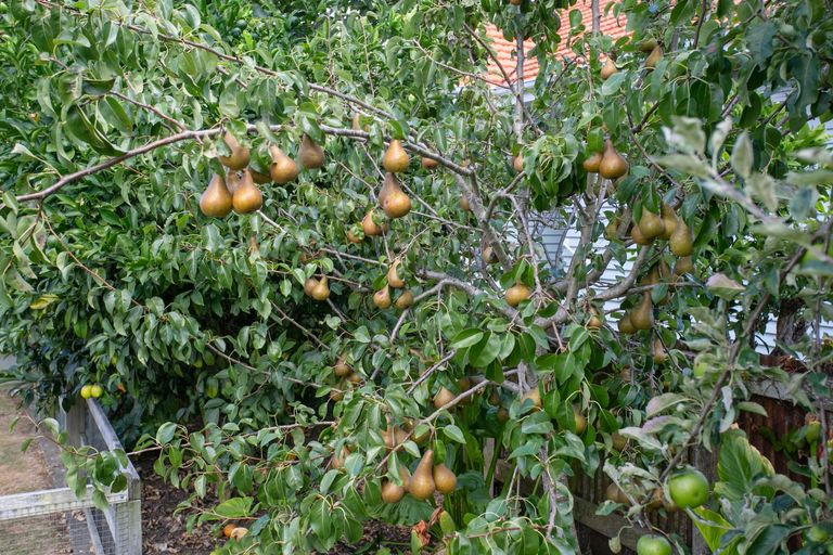 Photo of property in 2 Dawson Street, Matamata, 3400