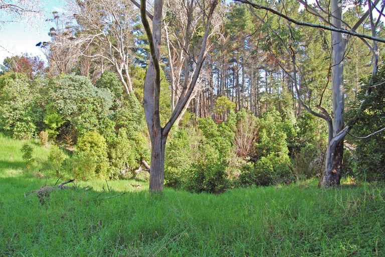 Photo of property in 1122 Oneriri Road, Kaiwaka, 0573