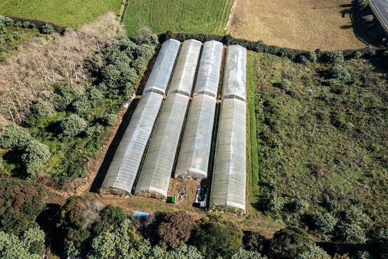 Photo of property in 389 Waiuku Road, Puni, Pukekohe, 2678