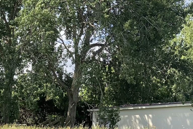 Photo of property in 123 Colville Road, Dargaville, 0377