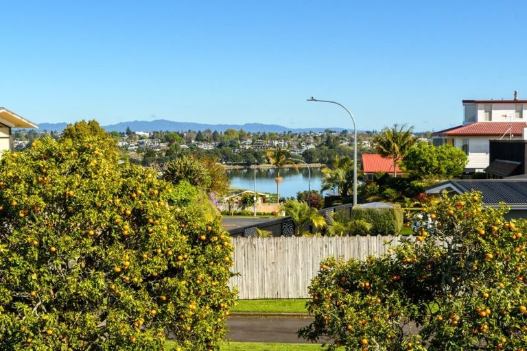 Photo of property in 19a Vine Avenue, Maungatapu, Tauranga, 3112