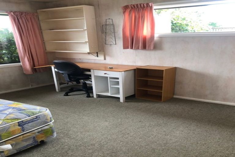 Photo of property in 55 Springbank Street, Bryndwr, Christchurch, 8053