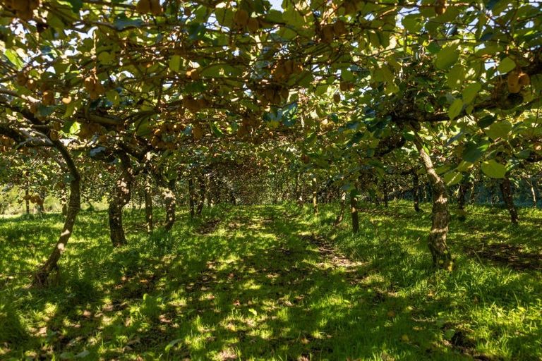 Photo of property in 394 Old Highway, Whakamarama, 3180