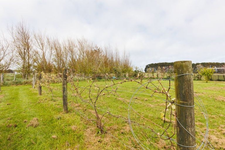 Photo of property in 46 Nuku Street, Tangimoana, 4822