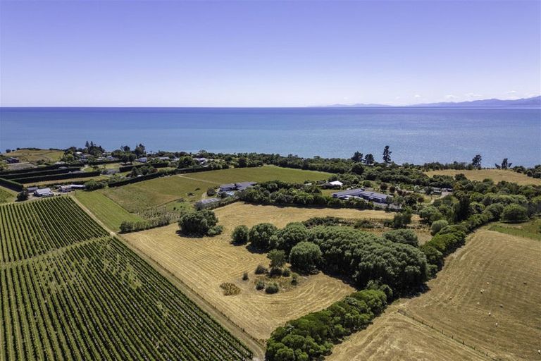 Photo of property in 50 Cliff Road, Tasman, Upper Moutere, 7173