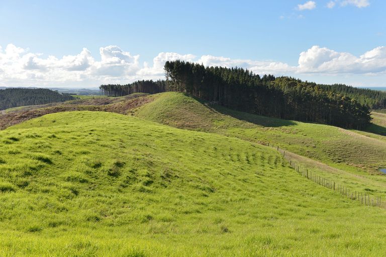 Photo of property in 495 Glenmohr Road, Waipu, 0582