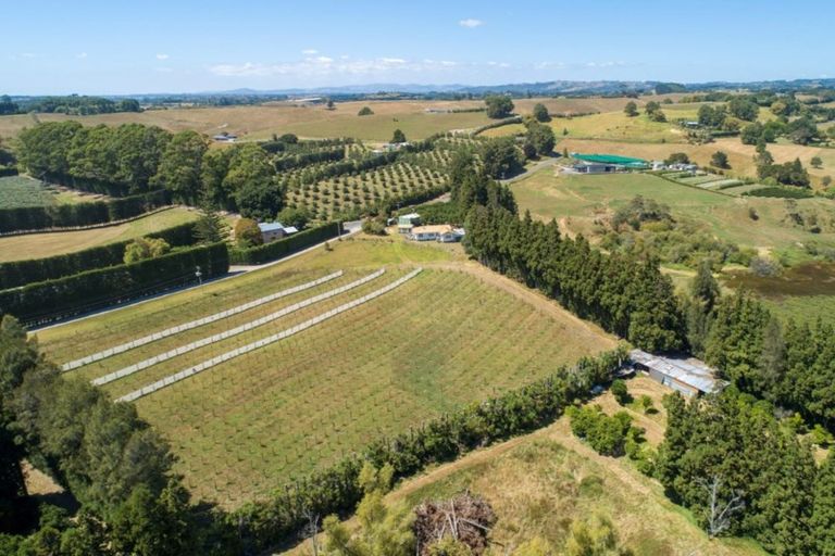 Photo of property in 195 Stewart Road, Whakamarama, Katikati, 3181