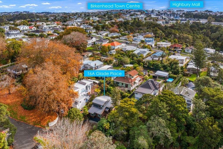 Photo of property in 1/16 Glade Place, Birkenhead, Auckland, 0626