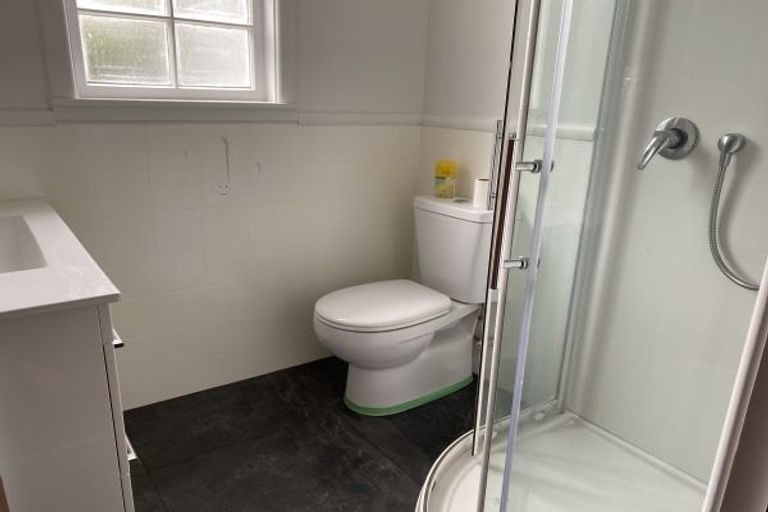 Photo of property in 78 Guy Avenue, Takaro, Palmerston North, 4410