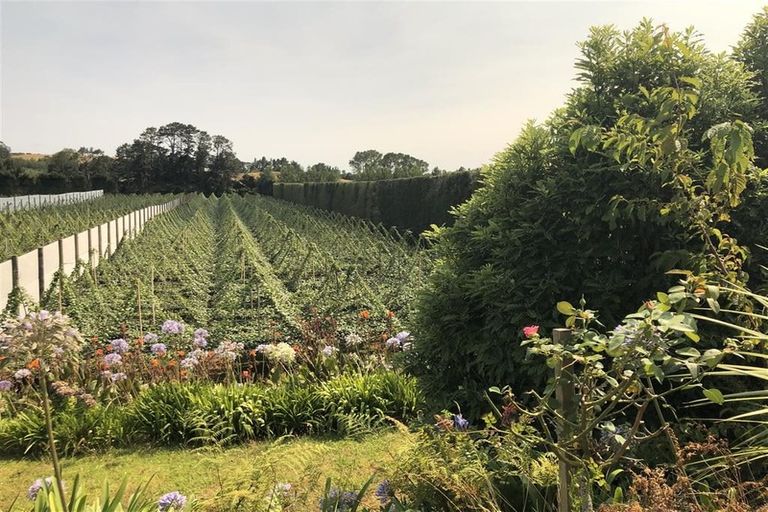 Photo of property in 56 Rawaka Drive, Katikati, 3129