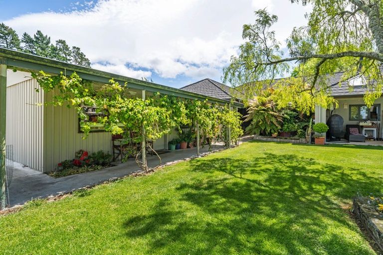 Photo of property in 41 Andrew Street, Kuripuni, Masterton, 5810
