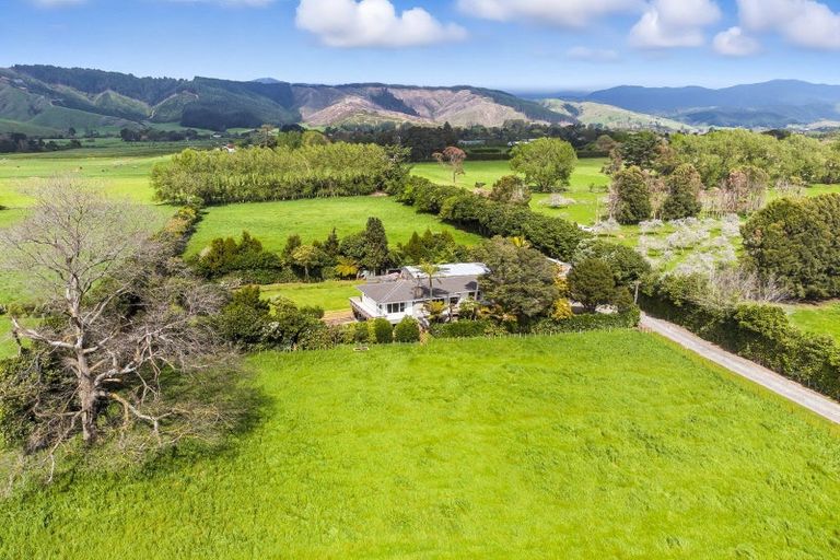 Photo of property in 74 Arapaepae Road, Levin, 5510