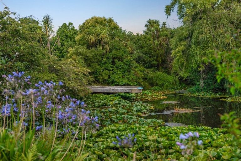 Photo of property in 102 Blackbridge Road, Dairy Flat, Albany, 0794