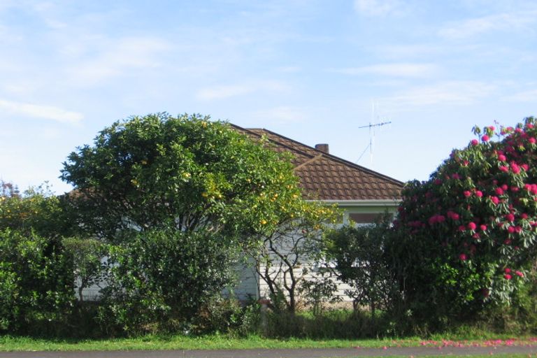 Photo of property in 12 Reeve Street, Levin, 5510