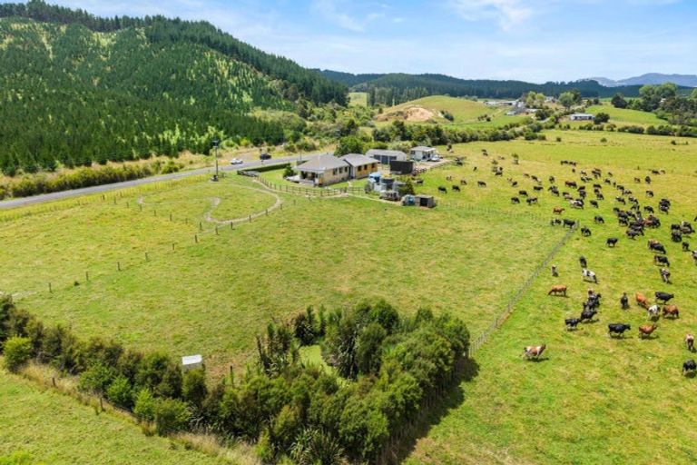 Photo of property in 353 Kopuku Road, Maramarua Forest, Te Kauwhata, 3781