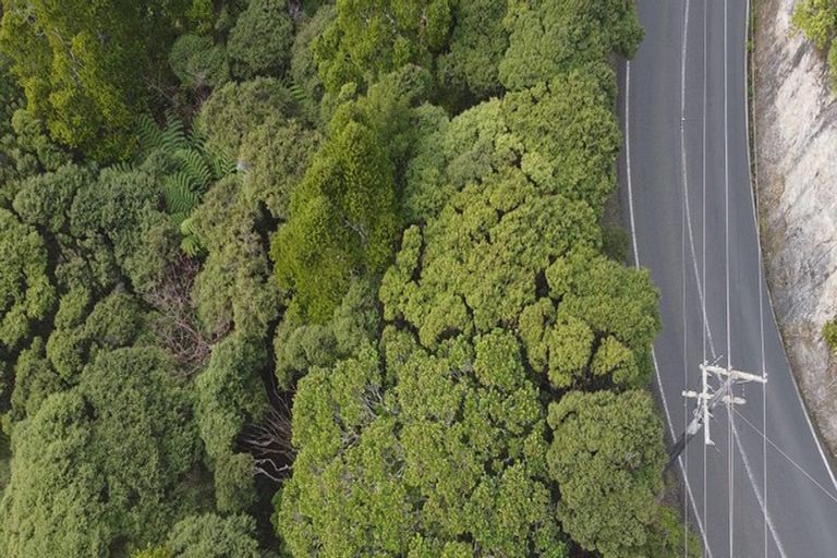 Photo of property in 112 Piha Road, Piha, 0772