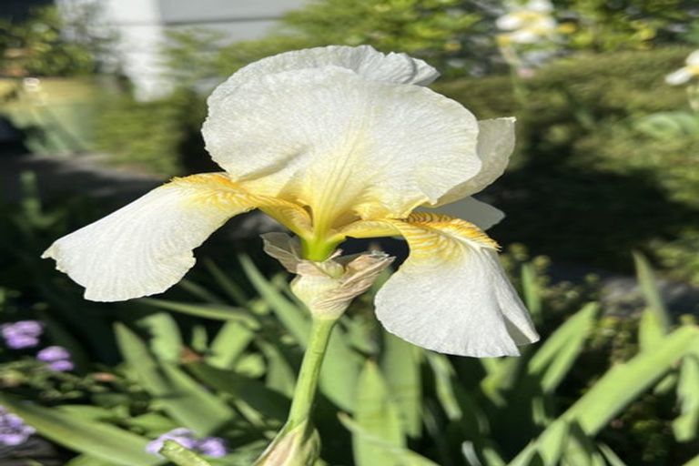 Photo of property in 1 Simeon Quay, Lyttelton, 8082