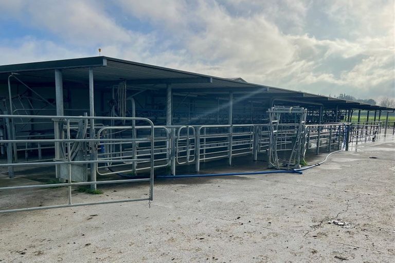 Photo of property in 337 Peacockes Road, Peacocke, Hamilton, 3282