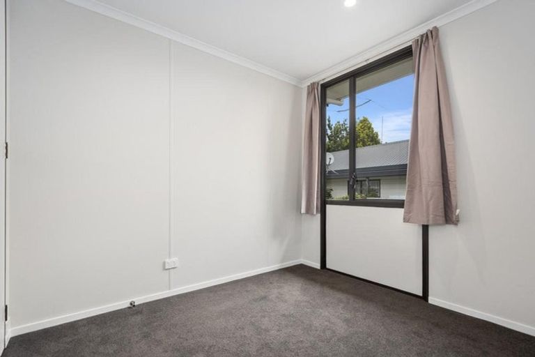 Photo of property in 54a Hammond Street, Hairini, Tauranga, 3112