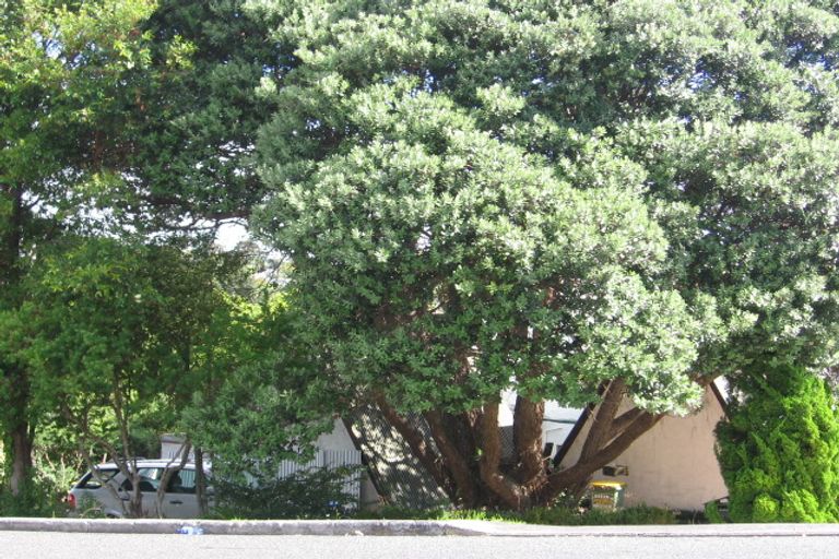 Photo of property in 2/490 Beach Road, Murrays Bay, Auckland, 0630