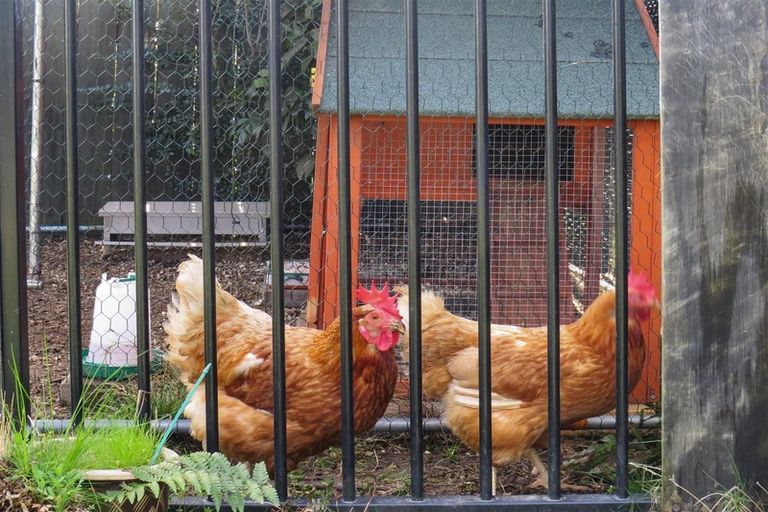 Photo of property in 11 Beryl Place, Pukehangi, Rotorua, 3015