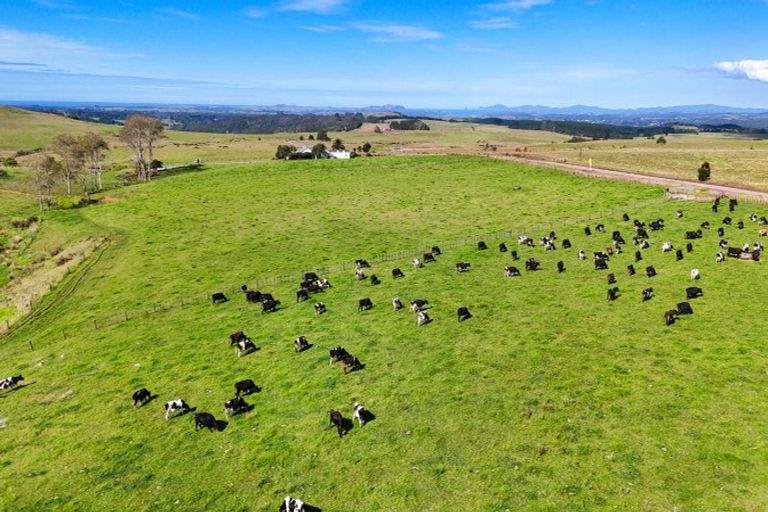 Photo of property in 542 Mangakaretu Road, Okaihau, 0295