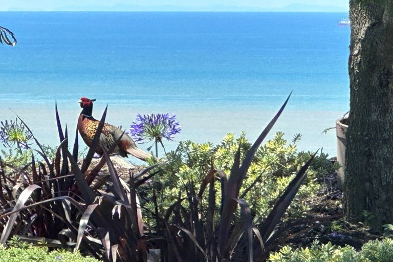 Photo of property in 11 Kaimata Road, Bay View, Napier, 4182