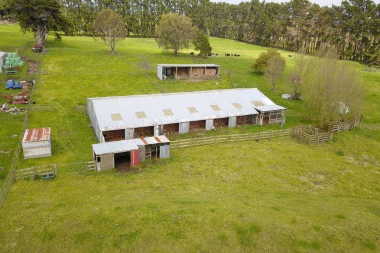 Photo of property in 358 Foxton Shannon Road, Foxton, 4893