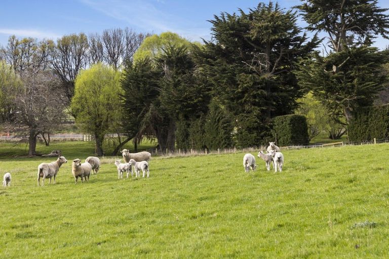 Photo of property in 309 Gladstone Road North, Mosgiel, 9092