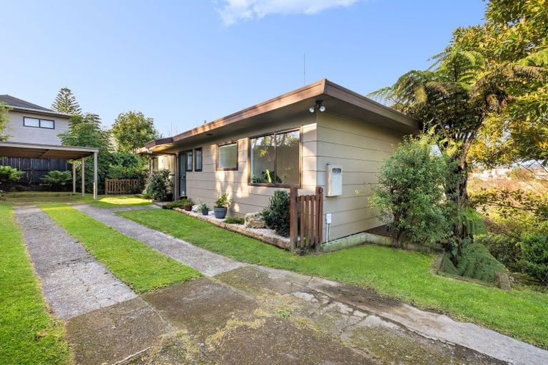 Photo of property in 41b Church Street, Gate Pa, Tauranga, 3112