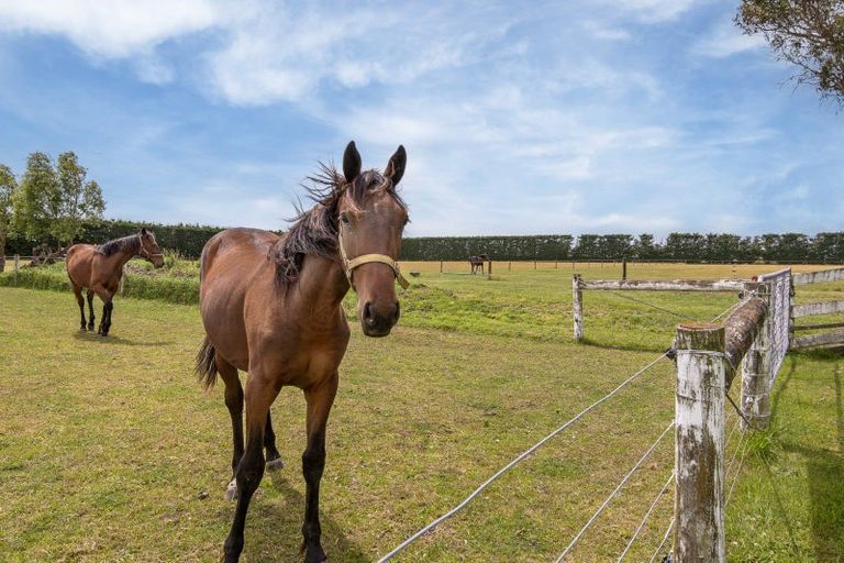 Photo of property in 1454 Courtenay Road, Kirwee, Darfield, 7671