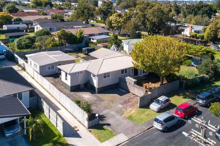 Photo of property in 60 Fairdene Avenue, Henderson, Auckland, 0610