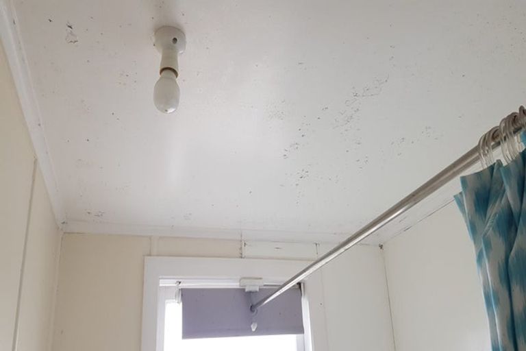 Photo of property in 20-22 Sievers Grove, Cannons Creek, Porirua, 5024