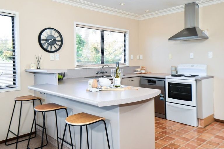 Photo of property in 40 Mcmeekan Avenue, Chartwell, Hamilton, 3210