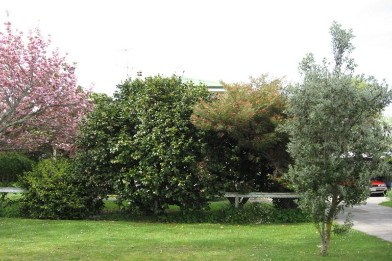 Photo of property in 3 Maclean Street, Whataupoko, Gisborne, 4010