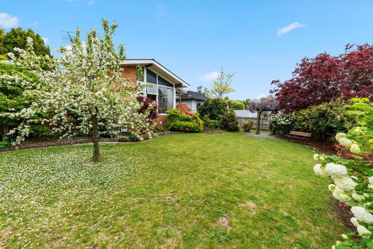 Photo of property in 9 Neri Crescent, Pomare, Rotorua, 3015