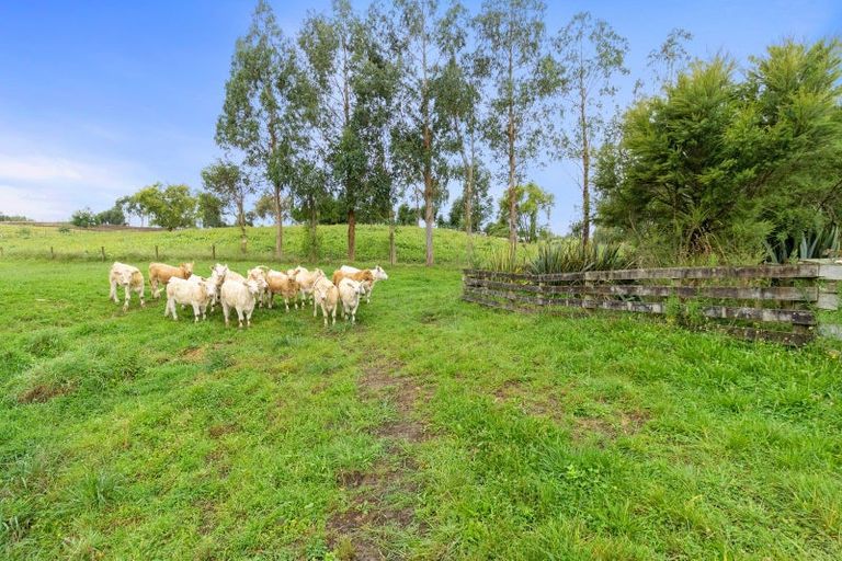 Photo of property in 800 Tuhikaramea Road, Ngahinapouri, Hamilton, 3290